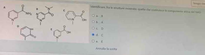 Tempo ríe
tificare, Ira le strutture mostrate, quella che costituisce là componente artia del NAD
a. B
b. A
C. D
d. C
e. E
Annulla la scelta