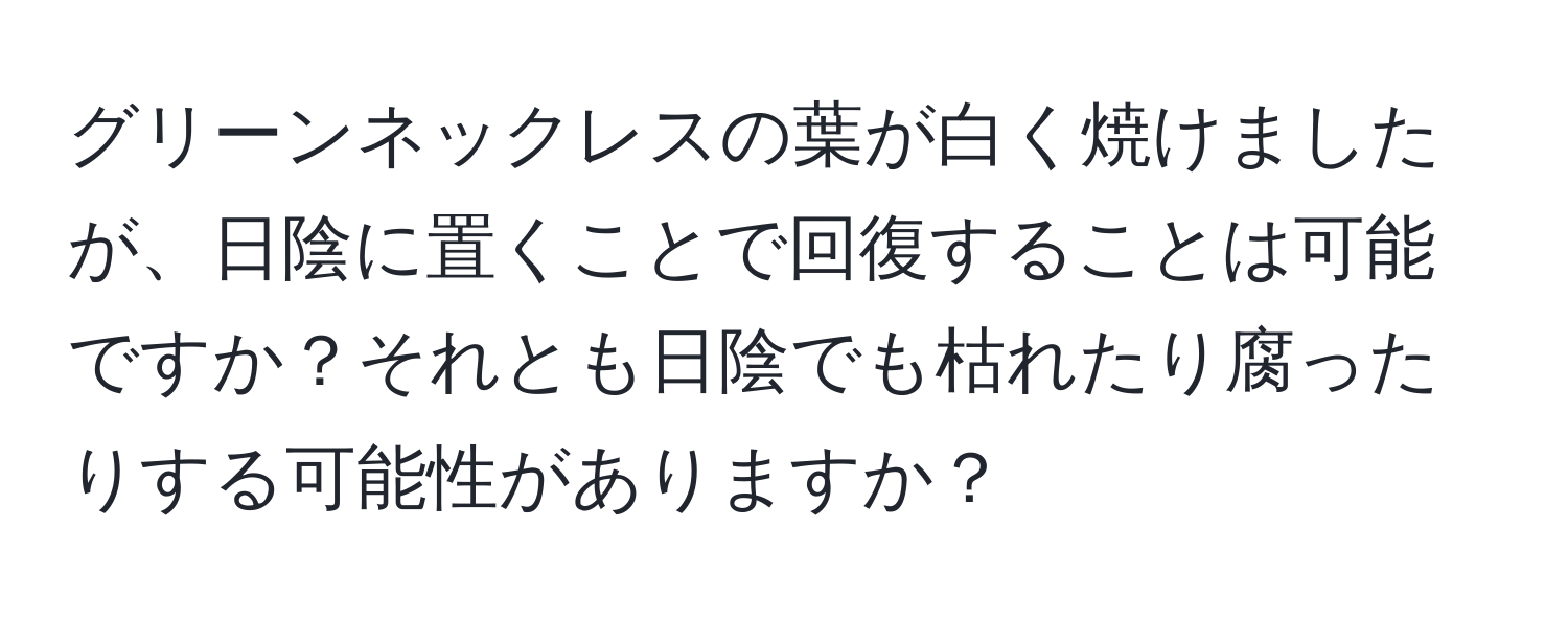 グリーンネックレスの葉が白く焼けましたが、日陰に置くことで回復することは可能ですか？それとも日陰でも枯れたり腐ったりする可能性がありますか？