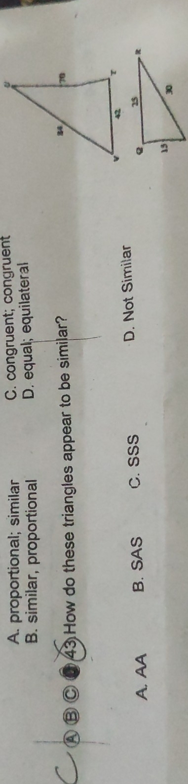 A. proportional; similar C. congruent; congruent
B. similar, proportional D. equal; equilateral
A B C 43 How do these triangles appear to be similar?
A, AA B. SAS C. SSS D. Not Similar