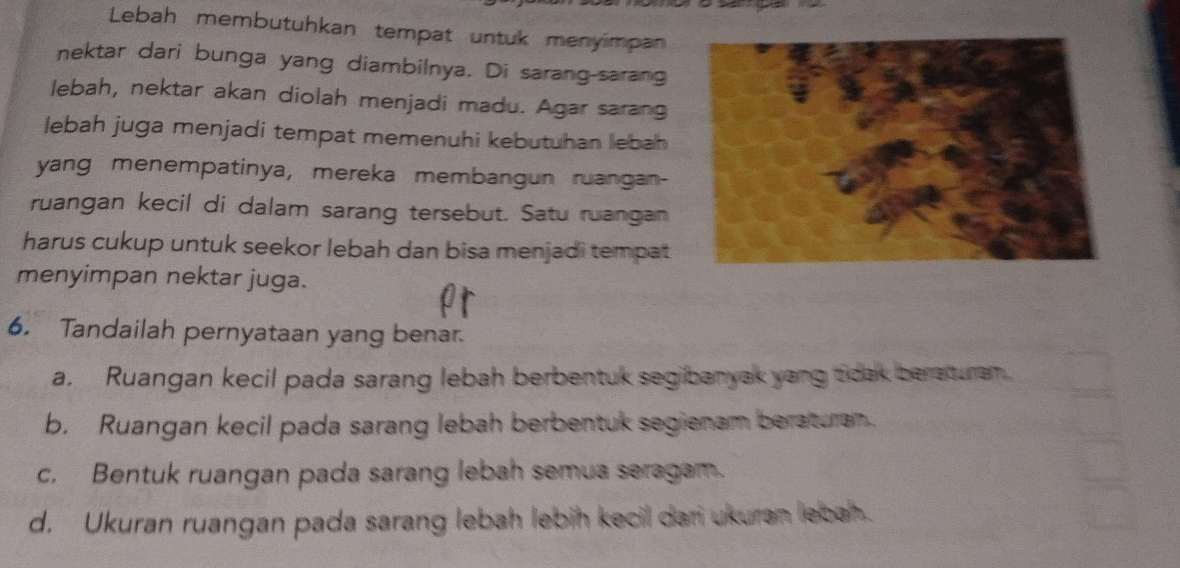 Lebah membutuhkan tempat untuk menyimpan
nektar dari bunga yang diambilnya. Di sarang-sarang
lebah, nektar akan diolah menjadi madu. Agar sarang
lebah juga menjadi tempat memenuhi kebutuhan lebah
yang menempatinya, mereka membangun ruangan-
ruangan kecil di dalam sarang tersebut. Satu ruangan
harus cukup untuk seekor lebah dan bisa menjadi tempat
menyimpan nektar juga.
6. Tandailah pernyataan yang benar.
a.Ruangan kecil pada sarang lebah berbentuk segibanyak yang tidak berarturam.
b. Ruangan kecil pada sarang lebah berbentuk segienam beraturam..
c. Bentuk ruangan pada sarang lebah semua seragam.
d. Ukuran ruangan pada sarang lebah lebih kecil dari ukuran lebah.