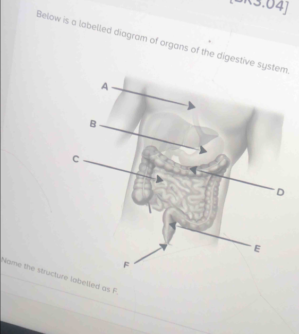 0.04] 
Below is a labelled diagram of organs of the diges 
Name the structulabelled as F