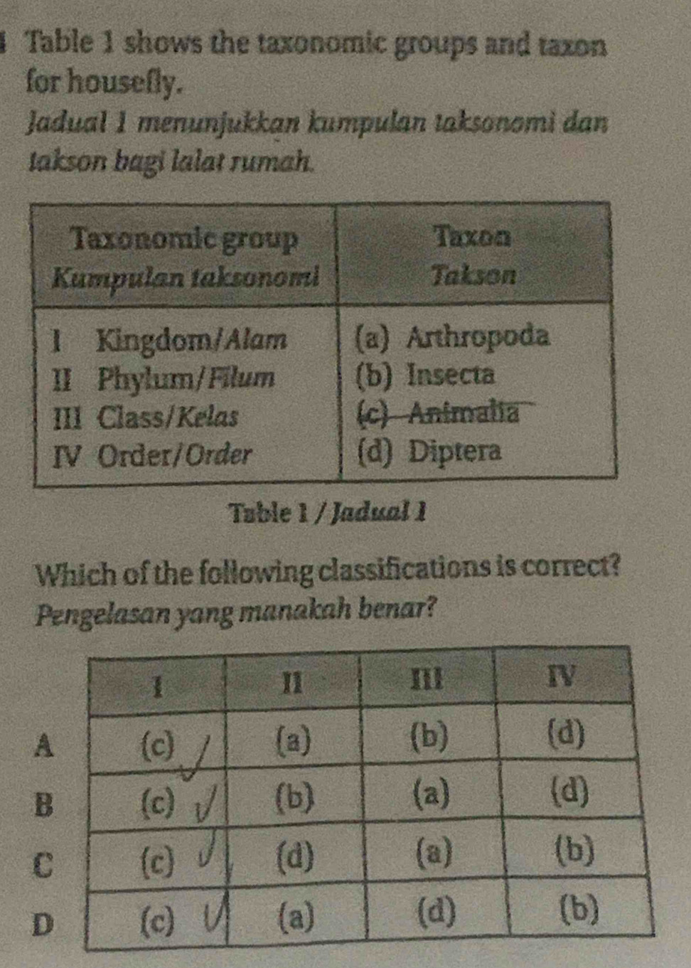 Table 1 shows the taxonomic groups and taxon
for housefly.
Jadual 1 menunjukkan kumpulan taksonomi dan
takson bagi lalat rumah.
Table 1 / Jadual 1
Which of the following classifications is correct?
Pengelasan yang manakah benar?
A
B
C
D