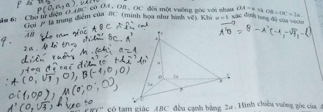 âu 6: Cho tử diện O. ABC có A. OB OC đôi một vuông góc với nhau OA=a và OB=OC=2a. 
Gọi P là trung điểm của BC (minh họa như hình vẽ). Khi a=1 xác định tung độ của vecto
vector AB
4''D'(''