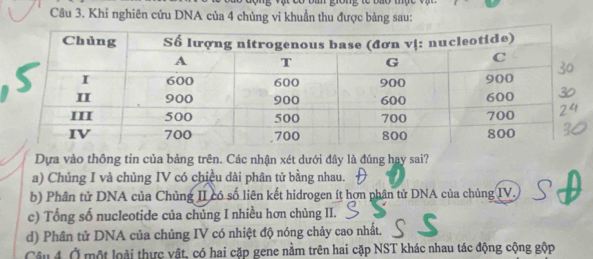 Khi nghiên cứu DNA của 4 chủng vi khuẩn thu được bảng sau:
ựa vào thông tin của bảng trên. Các nhận xét dưới đây là đúng hay sai?
a) Chủng I và chủng IV có chiều dài phân tử bằng nhau.
b) Phân tử DNA của Chủng II có số liên kết hidrogen ít hơn phân tử DNA của chủng IV.
c) Tổng số nucleotide của chủng I nhiều hơn chùng II.
d) Phân tử DNA của chủng IV có nhiệt độ nóng chảy cao nhất.
Câu 4. Ở một loài thực vật, có hai cặp gene nằm trên hai cặp NST khác nhau tác động cộng gộp