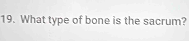 What type of bone is the sacrum?