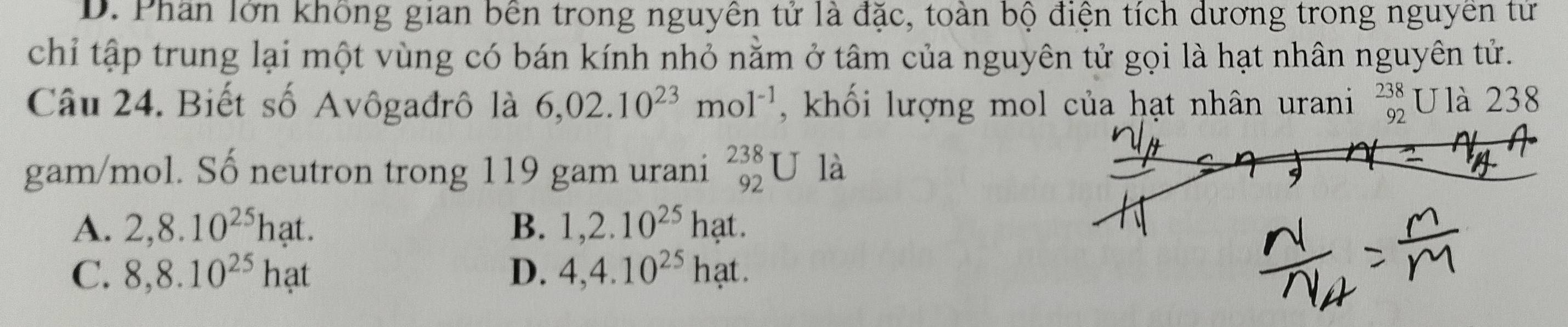 D. Phân lớn không gian bên trong nguyên tử là đặc, toàn bộ điện tích dương trong nguyên tư
chỉ tập trung lại một vùng có bán kính nhỏ nằm ở tâm của nguyên tử gọi là hạt nhân nguyên tử.
Câu 24. Biết số Avôgađrô là 6,02.10^(23)mol^(-1) , khối lượng mol của hạt nhân urani _(92)^(238)U là 238
gam/mol. Số neutron trong 119 gam urani _(92)^(238)U là
A. 2, 8.10^(25)hat. B. 1, 2.10^(25)hat.
C. 8, 8.10^(25)hat D. 4, 4.10^(25)hat.