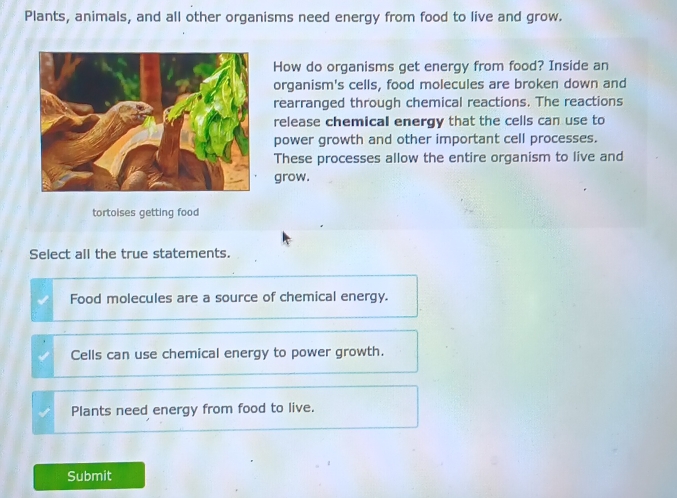 Plants, animals, and all other organisms need energy from food to live and grow.
How do organisms get energy from food? Inside an
organism's cells, food molecules are broken down and
rearranged through chemical reactions. The reactions
release chemical energy that the cells can use to
power growth and other important cell processes.
These processes allow the entire organism to live and
grow.
tortoises getting food
Select all the true statements.
Food molecules are a source of chemical energy.
Cells can use chemical energy to power growth.
Plants need energy from food to live.
Submit