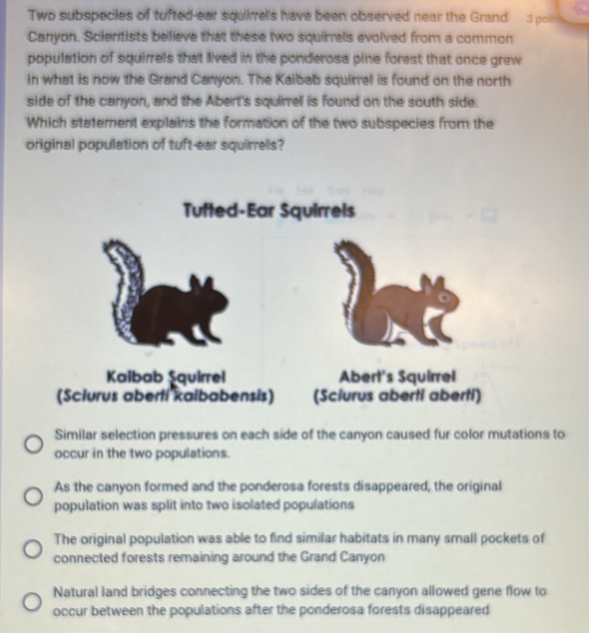 Two subspecies of tufted ear squirrels have been observed near the Grand a poin 
Canyon. Sciertists believe that these two squirrels evolved from a common
population of squirrels that lived in the ponderosa pine forest that once grew
in what is now the Grand Canyon. The Kaibab squirrel is found on the north
side of the canyon, and the Abert's squirrel is found on the south side.
Which statement explains the formation of the two subspecies from the
original population of tuft-ear squirrells?
Tufted-Ear Squirrels
Kaibab Şquirrel Abert's Squirrel
(Sciurus aberti kaibabensis) (Sciurus aberti aberti)
Similar selection pressures on each side of the canyon caused fur color mutations to
occur in the two populations.
As the canyon formed and the ponderosa forests disappeared, the original
population was split into two isolated populations
The original population was able to find similar habitats in many small pockets of
connected forests remaining around the Grand Canyon
Natural land bridges connecting the two sides of the canyon allowed gene flow to
occur between the populations after the ponderosa forests disappeared