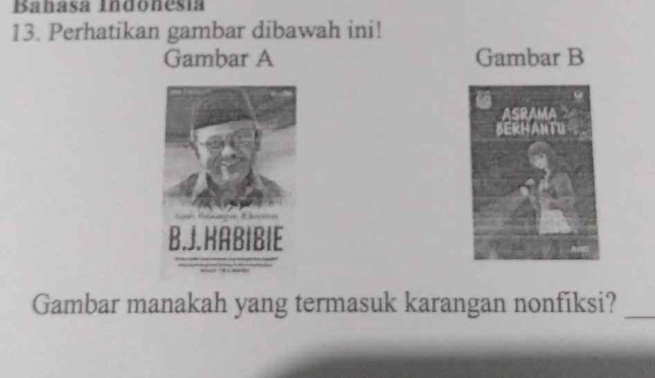 Bahasa Indonesía 
13. Perhatikan gambar dibawah ini! 
Gambar A Gambar B 
Gambar manakah yang termasuk karangan nonfiksi?_