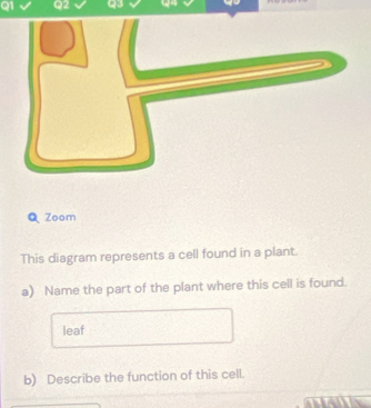 QZoom 
This diagram represents a cell found in a plant. 
a) Name the part of the plant where this cell is found. 
leaf 
b) Describe the function of this cell.