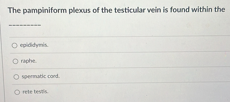 The pampiniform plexus of the testicular vein is found within the
_
epididymis.
raphe.
spermatic cord.
rete testis.