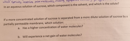 which typtcully reetricts polar molecules, making lquapon 
In an aqueous solution of sucrose, which component is the solvent, and which is the solute? 
_ 
If a more concentrated solution of sucrose is separated from a more dilute solution of sucrose by a 
partially permeable membrane, which solution: 
a. Has a higher concentration of water molecules? 
b. Will experience a net gain of water molecules?