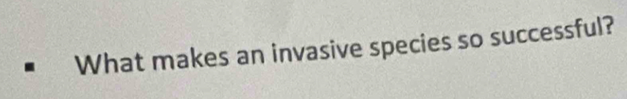 What makes an invasive species so successful?