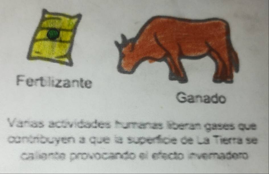 Fert lizante 
Ganado 
Varias actividades humánas líberan gases que 
contribuyen a que la superficie de La Tierra se 
caliente provocando el efecto invermadero