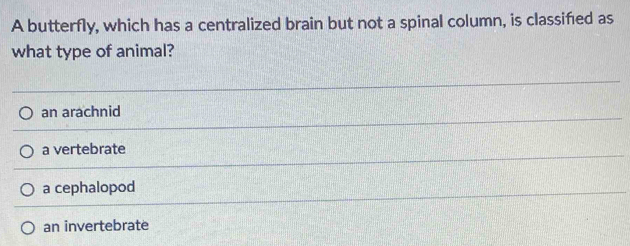 A butterfly, which has a centralized brain but not a spinal column, is classified as
what type of animal?
an arachnid
a vertebrate
a cephalopod
an invertebrate