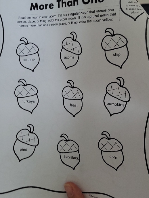 More Than On Add as
to most no 
plural.
Read the noun in each acorn. If it is a singular noun that names one to make then.'
person, place, or thing, color the acorn brown. If it is a plural noun that
narnes more than one person, place, or thing, color the acorn yellow.
ship
squash acorns
turkeyspumpkins
pies
haystack corn