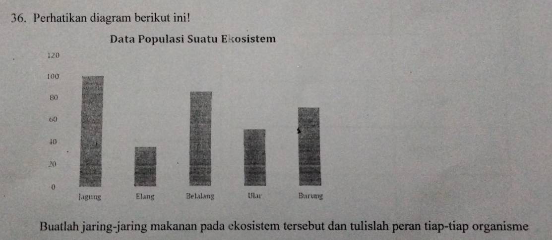 Perhatikan diagram berikut ini! 
Buatlah jaring-jaring makanan pada ckosistem tersebut dan tulislah peran tiap-tiap organisme