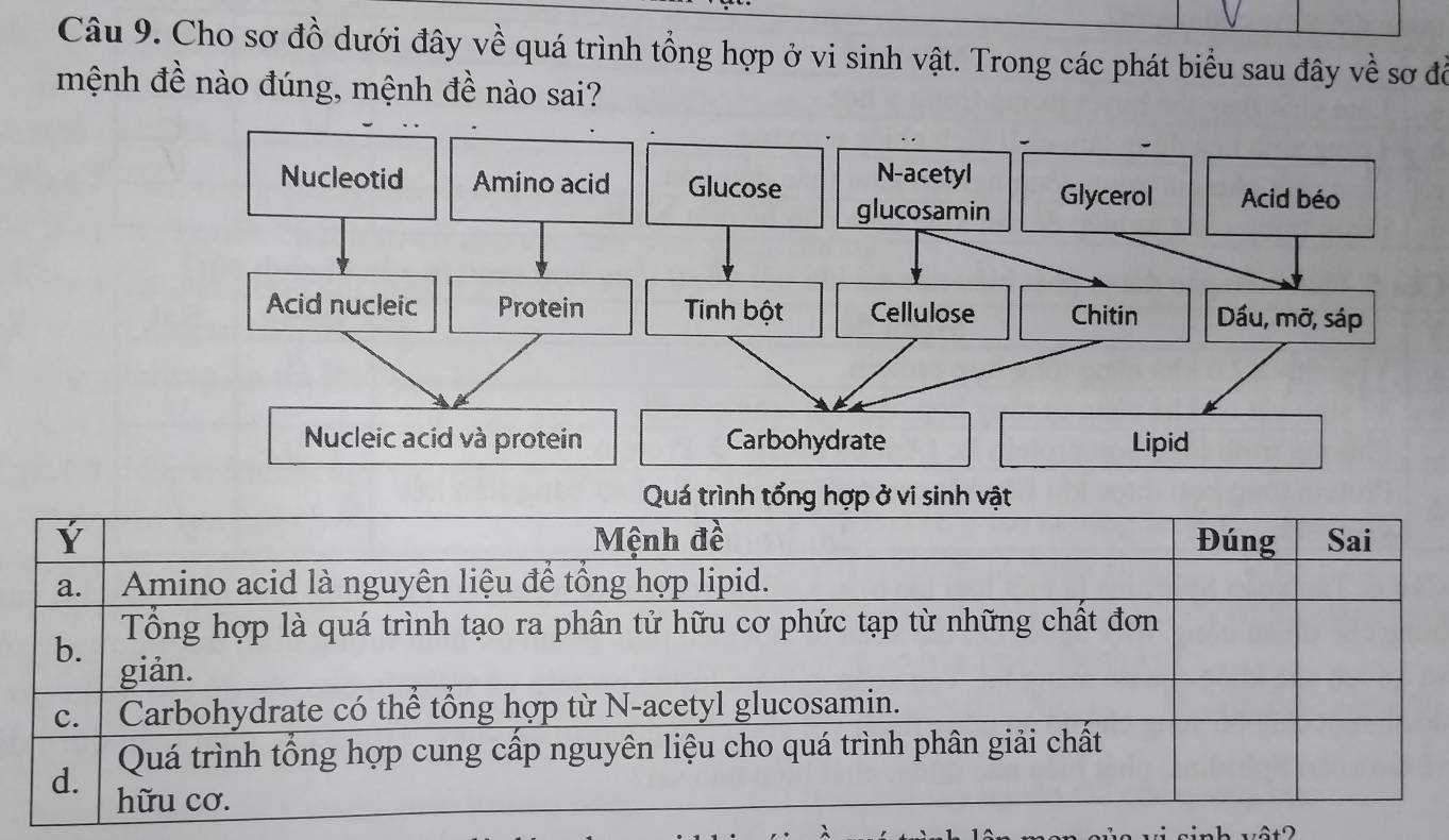 Cho sơ đồ dưới đây về quá trình tổng hợp ở vi sinh vật. Trong các phát biểu sau đây về sơ đề 
mệnh đề nào đúng, mệnh đề nào sai? 
vật2