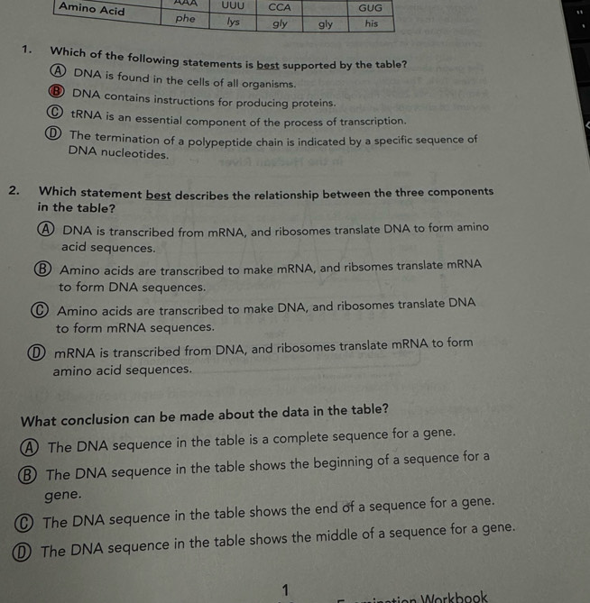 Which of the following statements is best supported by the table?
A DNA is found in the cells of all organisms.
⑧ DNA contains instructions for producing proteins.
ǚ tRNA is an essential component of the process of transcription.
① The termination of a polypeptide chain is indicated by a specific sequence of
DNA nucleotides.
2. Which statement best describes the relationship between the three components
in the table?
④ DNA is transcribed from mRNA, and ribosomes translate DNA to form amino
acid sequences.
⑧ Amino acids are transcribed to make mRNA, and ribsomes translate mRNA
to form DNA sequences.
Amino acids are transcribed to make DNA, and ribosomes translate DNA
to form mRNA sequences.
D mRNA is transcribed from DNA, and ribosomes translate mRNA to form
amino acid sequences.
What conclusion can be made about the data in the table?
A The DNA sequence in the table is a complete sequence for a gene.
⑧ The DNA sequence in the table shows the beginning of a sequence for a
gene.
The DNA sequence in the table shows the end of a sequence for a gene.
① The DNA sequence in the table shows the middle of a sequence for a gene.
1
en ork h ook