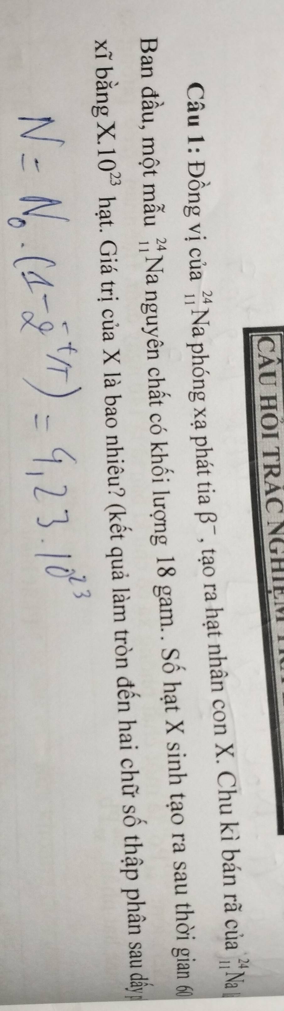 CÂU HÔI TRAC NGHIệN 
Câu 1: Đồng vị của  24/11  Na phóng xạ phát tia 5 E , tạo ra hạt nhân con X. Chu kì bán rã của beginarrayr 24 11endarray Na 
Ban đầu, một mẫu beginarrayr 24 11endarray Na nguyên chất có khối lượng 18 gam.. Số hạt X sinh tạo ra sau thời gian 60
xĩ bằng X. 10^(23) hạt. Giá trị của X là bao nhiêu? (kết quả làm tròn đến hai chữ số thập phân sau dấyp