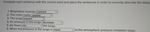 Complete each sentence with the correct word and place the sentences in order to correctly describe the steps 
1. Respiratory muscles contract 
2. The chest cavity expand 
3. The lungs] expand 
4. Air pressure in the lungs 
5. Air flows into decreases v 
the lungs. 
6. When the pressure in the lungs is equal to the atmospheric pressure inhalation stops.