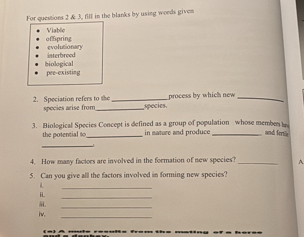 For questions 2 & 3, fill in the blanks by using words given 
Viable 
offspring 
evolutionary 
interbreed 
biological 
pre-existing 
2. Speciation refers to the _process by which new_ 
species arise from _species. 
3. Biological Species Concept is defined as a group of population whose members hav 
the potential to_ in nature and produce _and fertile 
_ 
4. How many factors are involved in the formation of new species? _A 
5. Can you give all the factors involved in forming new species? 
i. 
_ 
ⅱ. 
_ 
iii. 
_ 
_ 
iv.