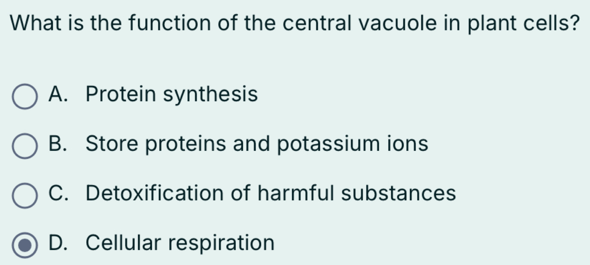 What is the function of the central vacuole in plant cells?
A. Protein synthesis
B. Store proteins and potassium ions
C. Detoxification of harmful substances
D. Cellular respiration