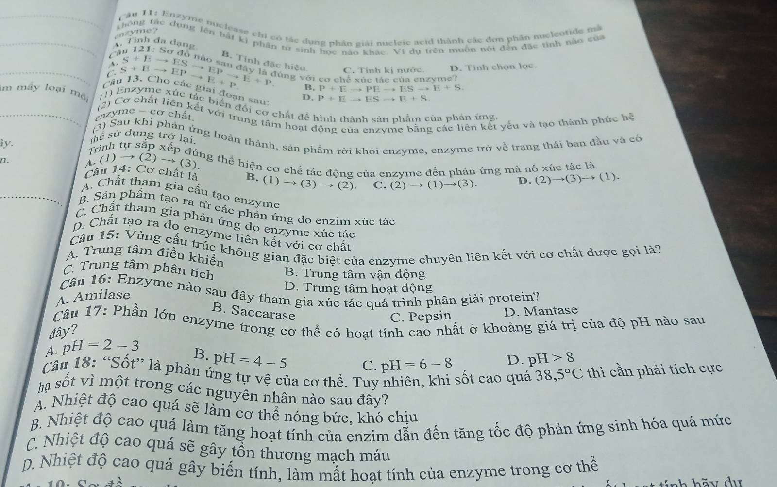 Enzyme nuclease chỉ có tác dụng phân giải nucleic acid thành các đơn phân nucleotide mà
nz y me ?
thông tác dụng lên bắt kì phân tư sinh học nào khác. Vi dụ trên muôn nói đến đặc tính nào của
_A. Tính đa dạng
C 21:Ssigma dd
B. Tính đặc hiệu. C. Tính kị nước. D. Tinh chọn lọc.
A
C lúng với cơ chế xúc tác của enzyme?
B. P+Eto PEto ESto E+S.
_Câu 13. Ch^(^S+Eto EPto _E+F+P) ^B+Eto ESto Epto EPto E+P. 6 các giai đoạn sau: D. P+Eto ESto E+S.
lm máy loại mội (1) Enzyme xúc tác biển đối cơ chất đề hình thành sản phẩm của phản ứng
(2) Cơ chất liên kết với trung tâm hoạt động của enzyme bằng các liên kết yếu và tạo thành phức hệ
enzyme - cơ chất.
(3) Sau khi phản ứng hoàn thành, sản phầm rời khỏi enzyme, enzyme trở về trạng thái ban đầu và có
ể sử dụng trở lại.
iy. Trình tự sắp xếp đúng thể hiện cơ chế tác động của enzyme đến phản ứng mà nó xúc tác là
n.  (1) → (2) to (3 ).
Câu 14: Cơ chất là B. (1) to (3) → (2) C. (2)to (1)to (3).
D. (2)to (3)to (1).
A. Chất tham gia cấu tạo enzyme
_B. Sản phầm tạo ra từ các phản ứng do enzim xúc tác
C. Chất tham gia phản ứng do enzyme xúc tác
D. Chất tạo ra do enzyme liên kết với cơ chất
Câu 15: Vùng cấu trúc không gian đặc biệt của enzyme chuyên liên kết với cơ chất được gọi là?
A. Trung tâm điều khiển
C. Trung tâm phân tích B. Trung tâm vận động
D. Trung tâm hoạt động
Câu 16: Enzyme nào sau đây tham gia xúc tác quá trình phân giải protein?
A. Amilase
B. Saccarase
C. Pepsin D. Mantase
Câu 17: Phần lớn enzyme trong cơ thể có hoạt tính cao nhất ở khoảng giá trị của độ pH nào sau
đây?
A. pH=2-3
B. pH=4-5 pH>8
C. pH=6-8
D.
Câu 18: “Sốt” là phản ứng tự vệ của cơ thể. Tuy nhiên, khi sốt cao quá 38,5°C thì cần phải tích cực
hạ sốt vì một trong các nguyên nhân nào sau đây?
A. Nhiệt độ cao quá sẽ làm cơ thể nóng bức, khó chịu
B. Nhiệt độ cao quá làm tăng hoạt tính của enzim dẫn đến tăng tốc độ phản ứng sinh hóa quá mức
C. Nhiệt độ cao quá sẽ gây tổn thương mạch máu
D. Nhiệt độ cao quá gây biến tính, làm mất hoạt tính của enzyme trong cơ thể
h h  y  d ự