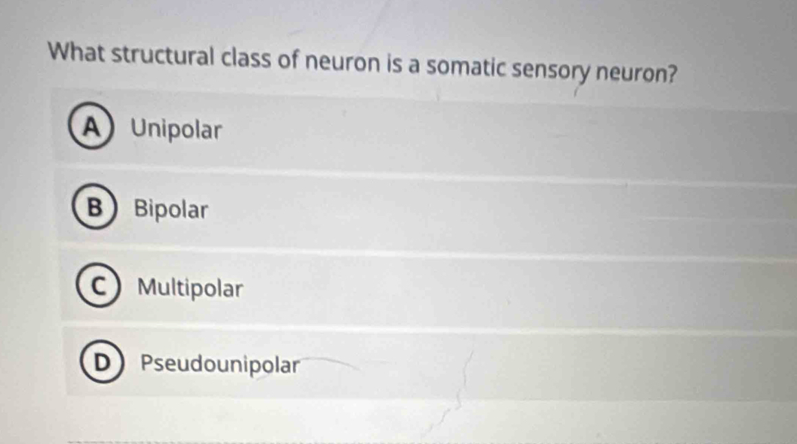 Solved: What structural class of neuron is a somatic sensory neuron? A ...