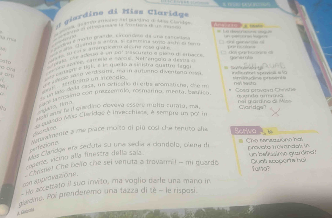 # giardino di Miss Claridge
enoscruto    airola, quando arrívavo nel giardino di Miss Ciaridge 
La chascrns on é
un penssras fígco
là mia
mbrava di oftrepassare la frontera di un mondo 
a ardino é molto grande, circondato da una cancellata
e  e  ala. Quando si entrá, sí cammina sotto archi di ferro sal generale al
te,
particalars
al prato, che adesso é un por trascurato e pieno di erbacce. del partiodara a
osto
e mto, su cui sí arrampicano alcune rosé gialle.
o ora
a orti
dcono  azalee, camelie e narcisi. Nell'angolo a destra ci generale
ano castagni e tigli, e in quello a sinistra quattro faggi
==  Sattoln e oa= 
che adesso sono verdissimi, ma in autunno diventano rossi, indicatori spaziali e la
orati... sembrano un incendio.
similitudine presente
o Su un lato della casa, un orticello di erbe aromatiche, che mi
not testa
piace tantissimo con prezzemolo, rosmarino, menta, basílico,  Cosa provava Christie
quando arnvava
origano, timo.
nel giardino di Miss
lla Claridge?
Molti anni fa il giardino doveva essere molto curato, ma,
disordine. da quando Miss Claridge è invecchiata, è sempre un po' in
perfezione. Naturalmente a me piace molto di più così che tenuto alla Scrivo
a
provato trovandoti in
Miss Claridge era seduta su una sedia a dondolo, piena di Che sensazione hai
coperte, vicino alla finestra della sala.
un bellissimo giardino?
- Christie! Che bello che sei venuta a trovarmi! - mi guardò Quali scoperte hai
fatto?
con approvazione.
-Ho accettato il suo invito, ma voglio darle una mano in
giardino. Poi prenderemo una tazza di tè - le risposi.
A. Baizola