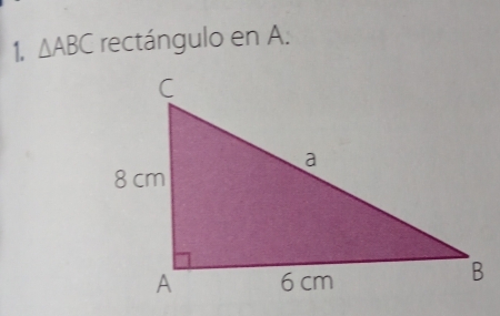 △ ABC rectángulo en A.