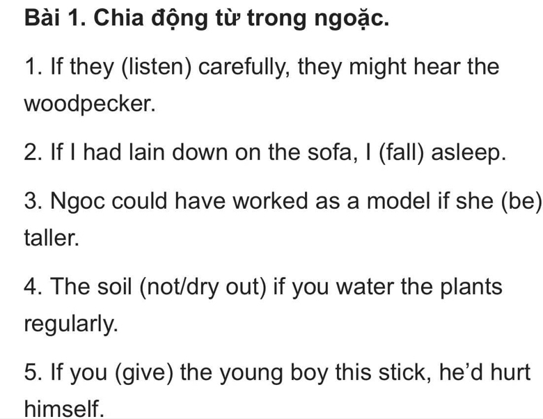 Chia động từ trong ngoặc. 
1. If they (listen) carefully, they might hear the 
woodpecker. 
2. If I had lain down on the sofa, I (fall) asleep. 
3. Ngoc could have worked as a model if she (be) 
taller. 
4. The soil (not/dry out) if you water the plants 
regularly. 
5. If you (give) the young boy this stick, he'd hurt 
himself.