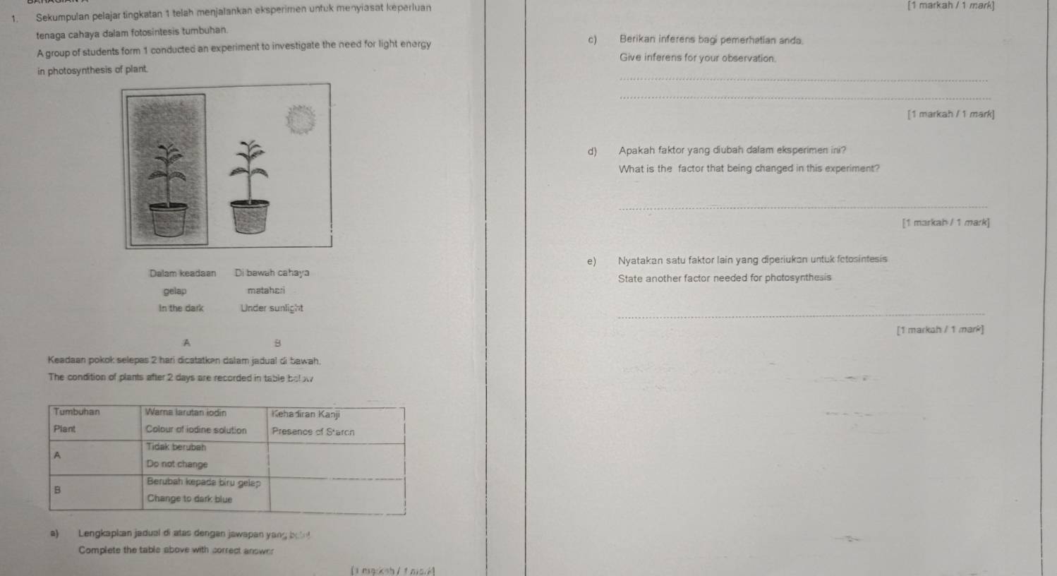 Sekumpulan pelajar tingkatan 1 telah menjalankan eksperimen unfuk menyiasat keperluan [1 markah / 1 mark] 
tenaga cahaya dalam fotosintesis tumbuhan. c) Berikan inferens bagi pemerhatian anda. 
A group of students form 1 conducted an experiment to investigate the need for light energy 
Give inferens for your observation. 
_ 
in photosynthesis of plant. 
_ 
[1 markah / 1 mark] 
d) Apakah faktor yang diubah dalam eksperimen ini? 
What is the factor that being changed in this experiment? 
_ 
[1 markah / 1 mark] 
e) Nyatakan satu faktor lain yang diperiukan untuk fetosintesis 
Dalam keadaan Di bawah cahaya 
State another factor needed for photosynthesis 
gelap matahari 
_ 
In the dark Under sunlight 
[1 markah / 1 mark] 
A 
B 
Keadaan pokok selepas 2 hari dicatatken dalam jadual di bawah, 
The condition of plants after 2 days are recorded in table bel w 
a) Lengkapkan jadual di atas dengan jawapan yang bob ! 
Complete the table above with correct answer