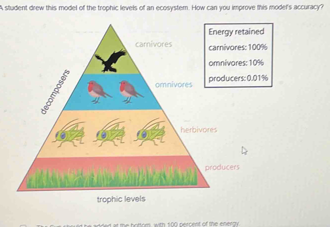 Solved: A student drew this model of the trophic levels of an ecosystem ...