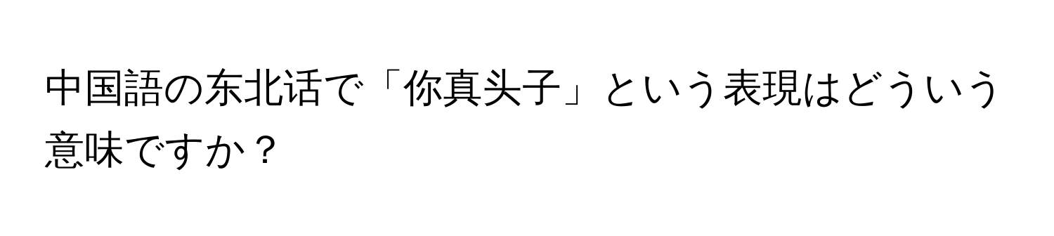 中国語の东北话で「你真头子」という表現はどういう意味ですか？