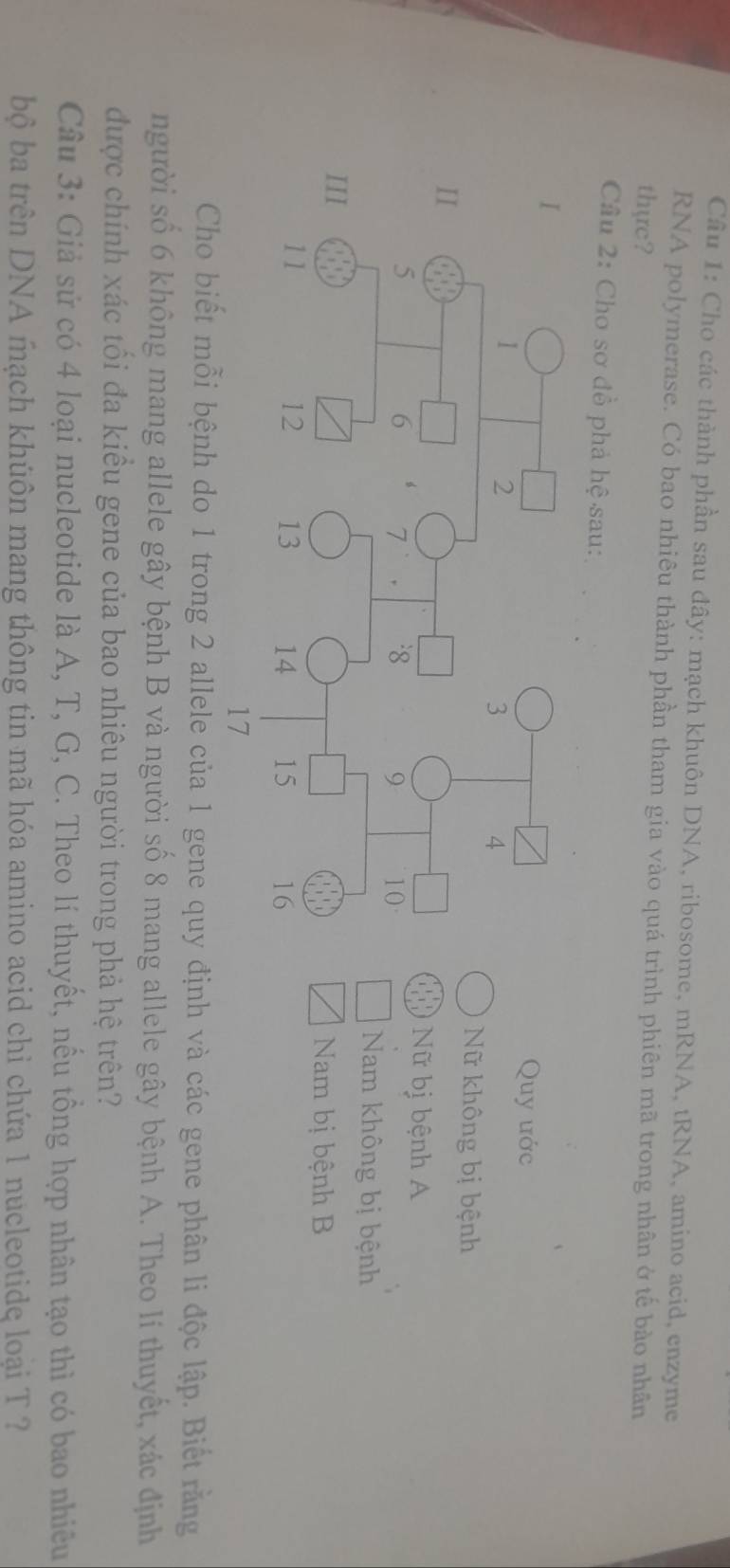 Cho các thành phần sau đây: mạch khuôn DNA, ribosome, mRNA, tRNA, amino acid, enzyme
RNA polymerase. Có bao nhiêu thành phần tham gia vào quá trình phiên mã trong nhân ở tế bào nhân
thực?
Câu 2: Cho sơ đồ phả hệ sau:
Quy ước
Nữ không bị bệnh
Nữ bị bệnh A
Nam không bị bệnh
Nam bị bệnh B
Cho biết mỗi bệnh do 1 trong 2 allele của 1 gene quy định và các gene phân li độc lập. Biết rằng
người số 6 không mang allele gây bệnh B và người số 8 mang allele gây bệnh A. Theo lí thuyết, xác định
được chính xác tối đa kiểu gene của bao nhiêu người trong phả hệ trên?
Câu 3: Giả sử có 4 loại nucleotide là A, T, G, C. Theo lí thuyết, nều tồng hợp nhân tạo thì có bao nhiều
bộ ba trên DNA mạch khuôn mang thông tin mã hóa amino acid chỉ chứa 1 nucleotide loại T ?