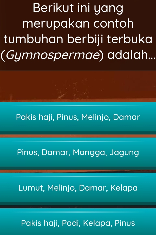 Berikut ini yang
merupakan contoh
tumbuhan berbiji terbuka
(Gymnospermae) adalah...
Pakis haji, Pinus, Melinjo, Damar
Pinus, Damar, Mangga, Jagung
Lumut, Melinjo, Damar, Kelapa
Pakis haji, Padi, Kelapa, Pinus