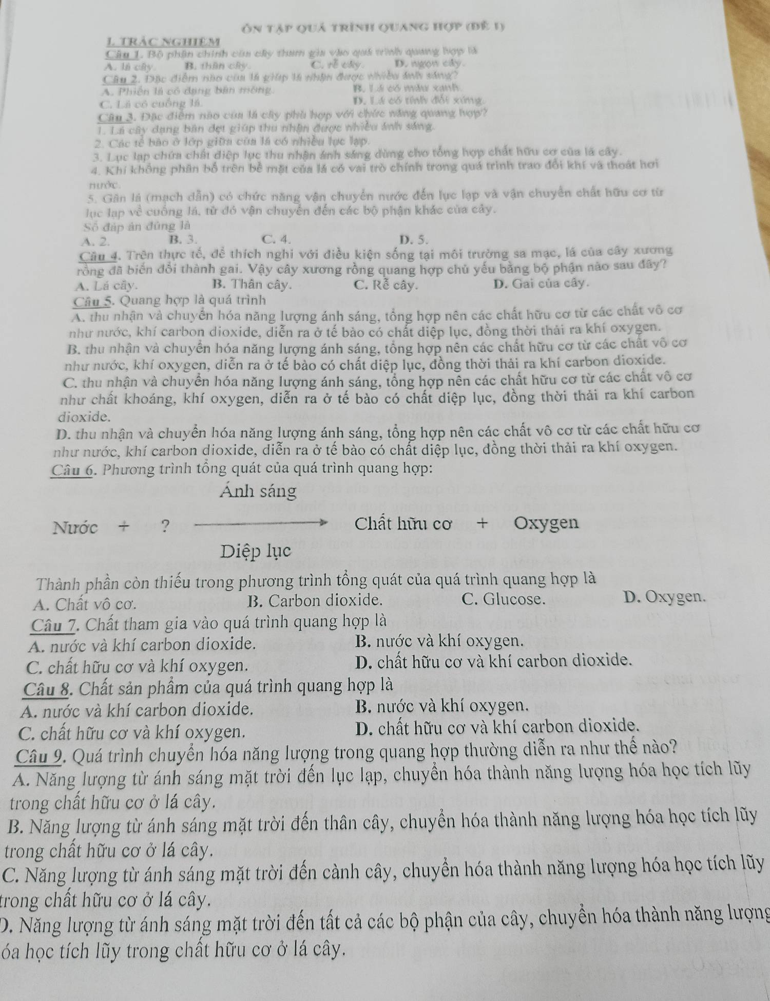 Ôn tập quả trình quang hợp (đế 1)
1 trác nghiệm
Câu 1. Bộ phân chính của cây tham gia vào quá trình quang hợp là
A. là cây B. thân cây. C. rễ cá D. ngọn cây.
Câu 2. Đặc điểm nào của là giúp là nhận được nhiều ánh sáng?
A. Phiên là có dạng bản mông B. Lá có mẫu xanh
C. Lá có cuống lá. D. Lá có tính đối xứng.
Câu 3. Đặc điểm nào của là cây phù hợp với chức năng quang hợp?
1. La cây dạng bản đẹt giúp thu nhận được nhiều ảnh sáng.
2. Các tế bão ở lớp giữa của là có nhiều lực lạp.
3. Lục lạp chứa chất điệp lục thu nhận ánh sáng dùng cho tổng hợp chất hữu cơ của là cây.
4. Khí khổng phân bổ trên bề mặt của lá có vai trò chính trong quá trình trao đổi khí và thoát hơi
nước.
5. Gân là (mạch dẫn) có chức năng vận chuyển nước đến lục lạp và vận chuyển chất hữu cơ từ
lục lạp về cuống lá, từ đó vận chuyển đến các bộ phận khác của cây.
Số đáp án đủng là
A. 2. B. 3. C. 4. D. 5.
Câu 4. Trên thực tế, để thích nghi với điều kiện sống tại môi trường sa mạc, lá của cây xương
rồng đã biến đổi thành gai. Vậy cây xương rồng quang hợp chủ yếu bằng bộ phận nào sau đây?
A. Lá cây. B. Thân cây. C. Rễ cây. D. Gai của cây.
Câu 5. Quang hợp là quá trình
A. thu nhận và chuyển hóa năng lượng ánh sáng, tổng hợp nên các chất hữu cơ từ các chất vô cơ
như nước, khí carbon dioxide, diễn ra ở tế bào có chất diệp lục, đồng thời thái ra khí oxygen.
B. thu nhận và chuyển hóa năng lượng ánh sáng, tổng hợp nền các chất hữu cơ từ các chất vô cơ
như nước, khí oxygen, diễn ra ở tế bảo có chất diệp lục, đồng thời thải ra khí carbon dioxide.
C. thu nhận và chuyển hóa năng lượng ánh sáng, tổng hợp nên các chất hữu cơ từ các chất vô cơ
như chất khoáng, khí oxygen, diễn ra ở tế bào có chất diệp lục, đồng thời thải ra khí carbon
dioxide.
D. thu nhận và chuyển hóa năng lượng ánh sáng, tổng hợp nên các chất vô cơ từ các chất hữu cơ
như nước, khí carbon dioxide, diễn ra ở tế bào có chất diệp lục, đồng thời thải ra khí oxygen.
Câu 6. Phương trình tổng quát của quá trình quang hợp:
Ánh sáng
Nớc + ? Chất hữu cơ + Oxygen
Diệp lục
Thành phần còn thiếu trong phương trình tổng quát của quá trình quang hợp là
A. Chất vô cơ. B. Carbon dioxide. C. Glucose. D. Oxygen.
Câu 7. Chất tham gia vào quá trình quang hợp là
A. nước và khí carbon dioxide.
B. nước và khí oxygen.
C. chất hữu cơ và khí oxygen. D. chất hữu cơ và khí carbon dioxide.
Câu 8. Chất sản phẩm của quá trình quang hợp là
A. nước và khí carbon dioxide. B. nước và khí oxygen.
C. chất hữu cơ và khí oxygen. D. chất hữu cơ và khí carbon dioxide.
Câu 9. Quá trình chuyển hóa năng lượng trong quang hợp thường diễn ra như thế nào?
A. Năng lượng từ ánh sáng mặt trời đến lục lạp, chuyển hóa thành năng lượng hóa học tích lũy
trong chất hữu cơ ở lá cây.
B. Năng lượng từ ánh sáng mặt trời đến thân cây, chuyển hóa thành năng lượng hóa học tích lũy
trong chất hữu cơ ở lá cây.
C. Năng lượng từ ánh sáng mặt trời đến cành cây, chuyển hóa thành năng lượng hóa học tích lũy
trong chất hữu cơ ở lá cây.
D. Năng lượng từ ánh sáng mặt trời đến tất cả các bộ phận của cây, chuyển hóa thành năng lượng
óa học tích lũy trong chất hữu cơ ở lá cây.