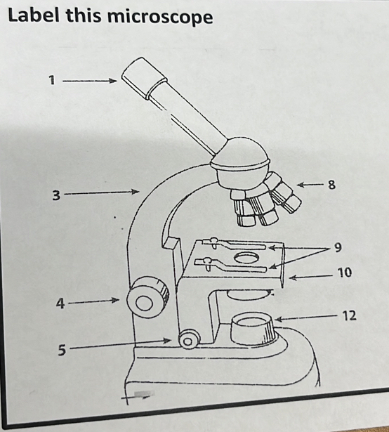 Label this microscope