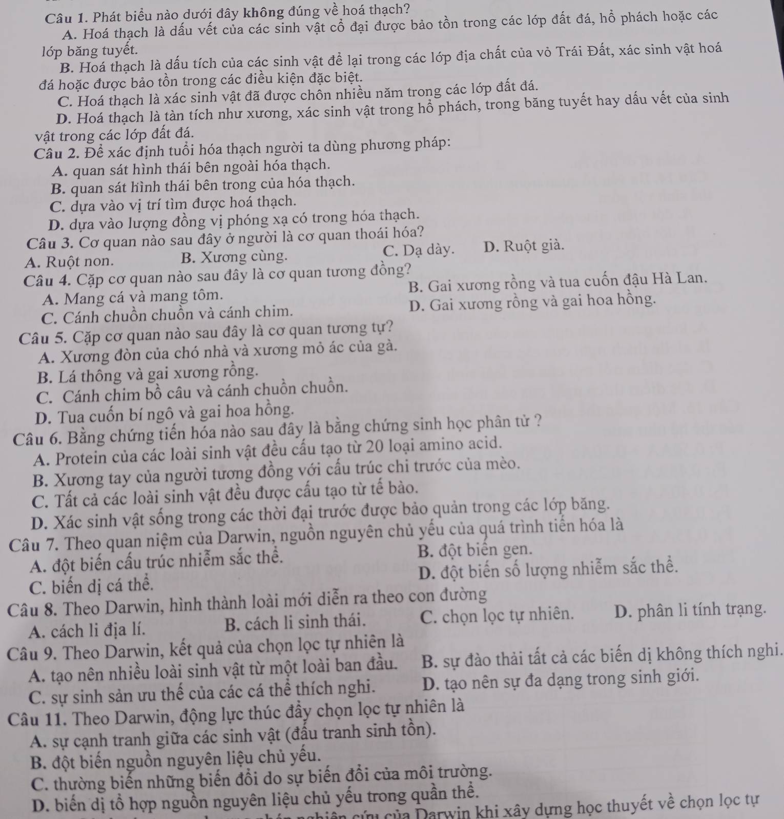 Phát biểu nào dưới đây không đúng về hoá thạch?
A. Hoá thạch là dấu vết của các sinh vật cổ đại được bảo tồn trong các lớp đất đá, hồ phách hoặc các
lớp băng tuyết.
B. Hoá thạch là dấu tích của các sinh vật để lại trong các lớp địa chất của vỏ Trái Đất, xác sinh vật hoá
đá hoặc được bảo tồn trong các điều kiện đặc biệt.
C. Hoá thạch là xác sinh vật đã được chồn nhiều năm trong các lớp đất đá.
D. Hoá thạch là tàn tích như xương, xác sinh vật trong hồ phách, trong băng tuyết hay dấu vết của sinh
vật trong các lớp đất đá.
Câu 2. Để xác định tuổi hóa thạch người ta dùng phương pháp:
A. quan sát hình thái bên ngoài hóa thạch.
B. quan sát hình thái bên trong của hóa thạch.
C. dựa vào vị trí tìm được hoá thạch.
D. dựa vào lượng đồng vị phóng xạ có trong hóa thạch.
Câu 3. Cơ quan nào sau đây ở người là cơ quan thoái hóa?
C. Dạ dày.
A. Ruột non. B. Xương cùng. D. Ruột già.
Câu 4. Cặp cơ quan nào sau đây là cơ quan tương đồng?
A. Mang cá và mang tôm. B. Gai xương rồng và tua cuốn đậu Hà Lan.
C. Cánh chuồn chuồn và cánh chim. D. Gai xương rồng và gai hoa hồng.
Câu 5. Cặp cơ quan nào sau đây là cơ quan tương tự?
A. Xương đòn của chó nhà và xương mỏ ác của gà.
B. Lá thông và gai xương rồng.
C. Cánh chim bồ câu và cánh chuồn chuồn.
D. Tua cuốn bí ngô và gai hoa hồng.
Câu 6. Bằng chứng tiến hóa nào sau đây là bằng chứng sinh học phân tử ?
A. Protein của các loài sinh vật đều cấu tạo từ 20 loại amino acid.
B. Xương tay của người tương đồng với cấu trúc chi trước của mèo.
C. Tất cả các loài sinh vật đều được cấu tạo từ tế bào.
D. Xác sinh vật sống trong các thời đại trước được bảo quản trong các lớp băng.
Câu 7. Theo quan niệm của Darwin, nguồn nguyên chủ yếu của quá trình tiến hóa là
A. đột biến cấu trúc nhiễm sắc thể. B. đột biển gen.
C. biến dị cá thể. D. đột biến số lượng nhiễm sắc thể.
Câu 8. Theo Darwin, hình thành loài mới diễn ra theo con đường
A. cách li địa lí. B. cách li sinh thái. C. chọn lọc tự nhiên. D. phân li tính trạng.
Câu 9. Theo Darwin, kết quả của chọn lọc tự nhiên là
A. tạo nên nhiều loài sinh vật từ một loài ban đầu. B. sự đào thải tất cả các biến dị không thích nghi.
C. sự sinh sản ưu thế của các cá thể thích nghi. D. tạo nên sự đa dạng trong sinh giới.
Câu 11. Theo Darwin, động lực thúc đầy chọn lọc tự nhiên là
A. sự cạnh tranh giữa các sinh vật (đấu tranh sinh tồn).
B. đột biến nguồn nguyên liệu chủ yếu.
C. thường biến những biến đổi do sự biến đổi của môi trường.
D. biến dị tổ hợp nguồn nguyên liệu chủ yếu trong quần thể.
Diên cứu của Darwin khi xây dựng học thuyết về chọn lọc tự