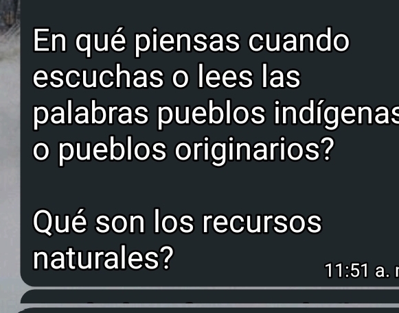 En qué piensas cuando 
escuchas o lees las 
palabras pueblos indígenas 
o pueblos originarios? 
Qué son los recursos 
naturales?
11:51 a.