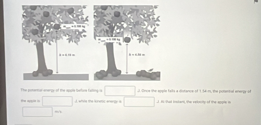 The potential energy of the apple before falling is J. Once the apple falls a distance of 1.54 m, the potential energy of
the apple is I, while the kinetic energy is° J. At that instant, the velocity of the apple is