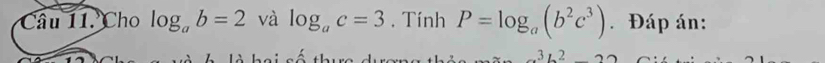 Cho log _ab=2 và log _ac=3. Tính P=log _a(b^2c^3) Đáp án: 
s
a^3b^2-22