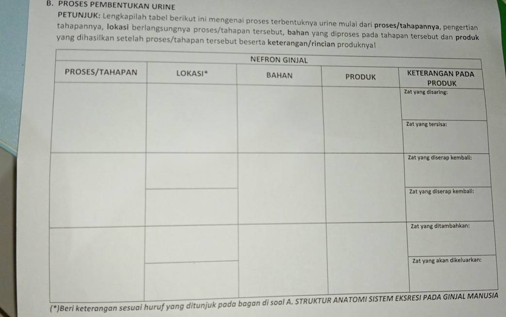 PROSES PEMBENTUKAN URINE 
PETUNJUK: Lengkapilah tabel berikut ini mengenai proses terbentuknya urine mulai dari proses/tahapannya, pengertian 
tahapannya, Iokasi berlangsungnya proses/tahapan tersebut, bahan yang diproses pada tahapan tersebut dan produk 
yang dihasilkan setelah proses/tahapan tersebut beserta 
(*)Beri keterangan sesuai huruf yang ditunjuk pada bagan di soIA