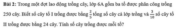 Trong một đợt lao động trồng cây, lớp 6A gồm ba tổ được phân công trồng
250 cây. Biết số cây tổ I trồng được bằng  2/5  tổng số cây cả lớp trồng và  3/10  số cây tổ 
II trồng được bằng 24 cây. Tính số cây trồng được mỗi tổ?