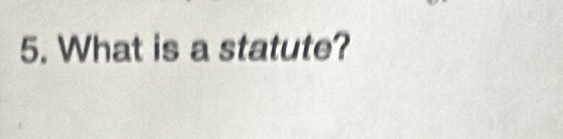 What is a statute?