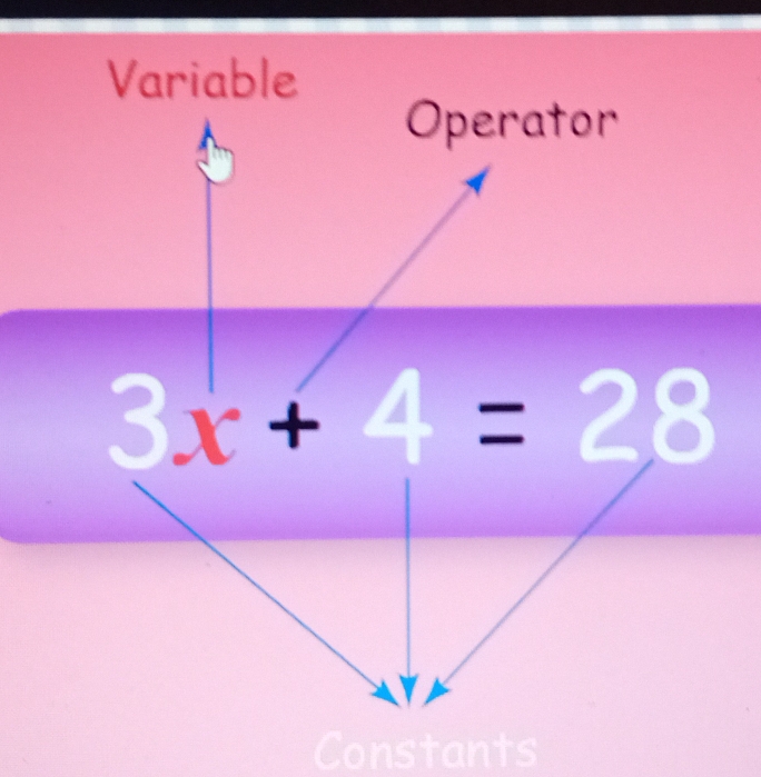 Variable
Constants