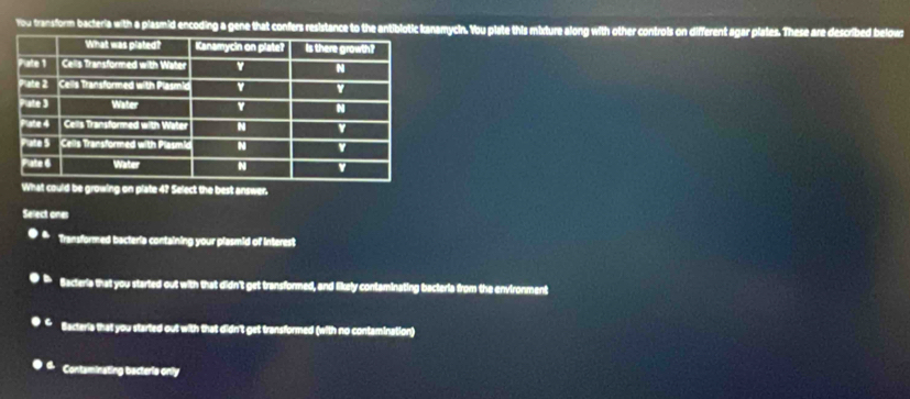 You transform bacteria with a plasmid encoding a gene that confers resistance to the antiblotic kanamycin. You plate this mtrture along with other controls on different agar plates. These are described below
on plate 4? Select the best answer.
Select ones
Transformed bacteria containing your plasmid of interest
Bacteria that you started out with that didn't get transformed, and likely contaminating bacteria from the environment
Bacteria that you started out with that didn't get transformed (with no contamination)
Contsminating bacteris only