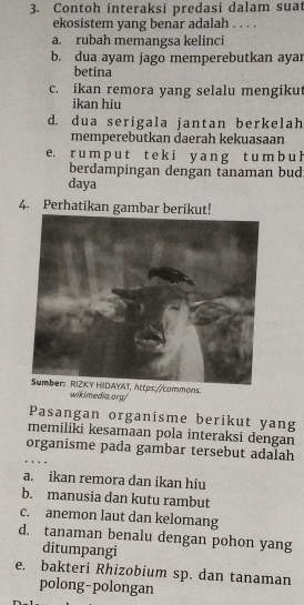 Contoh interaksi predasi dalam suat
ekosistem yang benar adalah . . . .
a. rubah memangsa kelinci
b. dua ayam jago memperebutkan ayar
betina
c. ikan remora yang selalu mengiku
ikan hiu
d. dua serigala jantan berkelah
memperebutkan daerah kekuasaan
e. r u m p u t t e k i y a n g t u m b u h
berdampingan dengan tanaman bud
daya
4. Perhatikan gambar berikut!
commons.
wikimedia.org/
Pasangan organisme berikut yang
memiliki kesamaan pola interaksi dengan
_
organisme pada gambar tersebut adalah
a. ikan remora dan ikan hiu
b. manusia dan kutu rambut
c. anemon laut dan kelomang
d. tanaman benalu dengan pohon yang
ditumpangi
e. bakteri Rhizobium sp. dan tanaman
polong-polongan