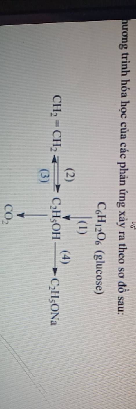 hương trình hóa học của các phản ứng xảy ra theo sơ đồ sau:
_6H_12O_6
e
CH_2=CH_3= □ /□  =C_3^(4(OH)-CH_2)OO(OH)